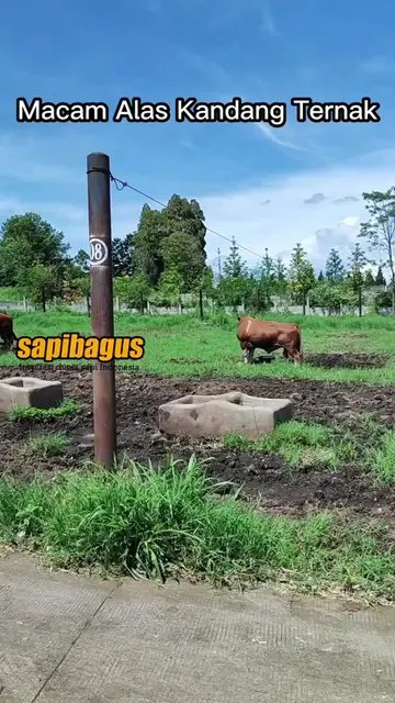 Macam-Alas-Kandang-Ternak